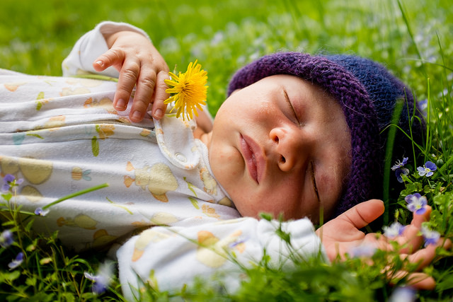 Un nourrisson dort paisiblement.