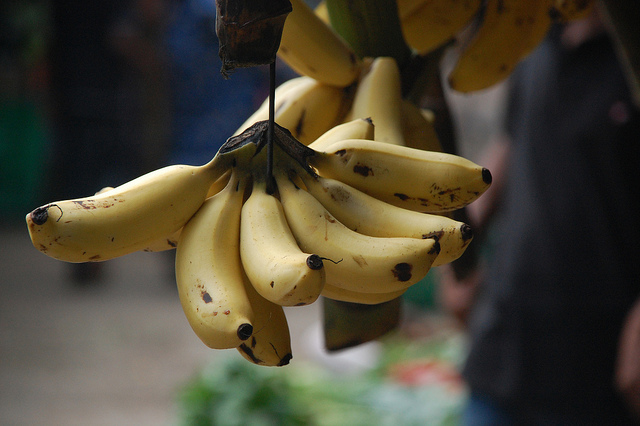 Régime de bananes suspendu.