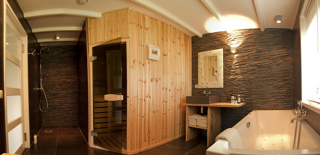 Sauna avec douche et bain.