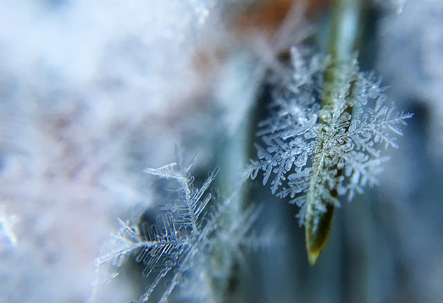 Photographie de flocons de neige pour symboliser le froid.