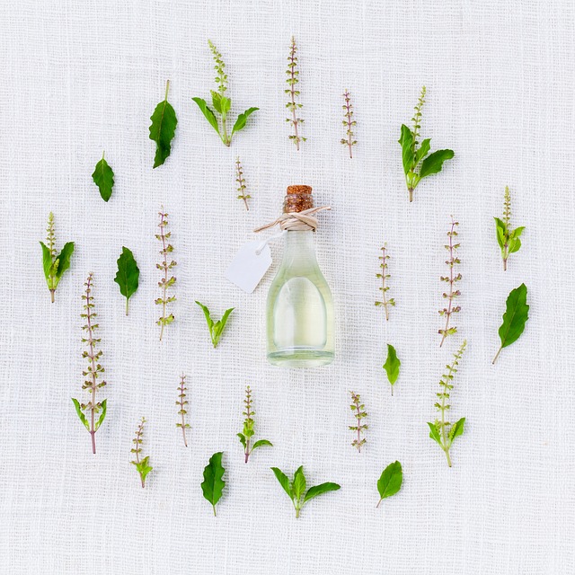 Bouquet de plantes entourant une fiole d'huile essentielle.