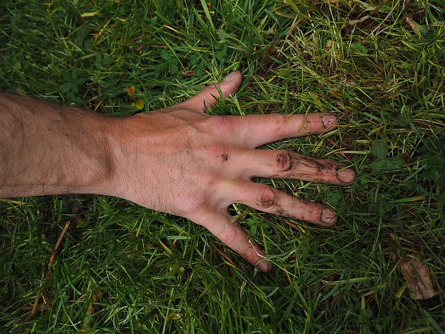 Les villes de demain ont besoin de jardinage.